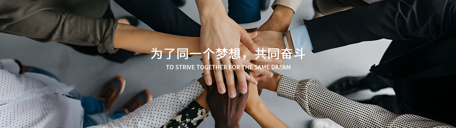 人才招聘